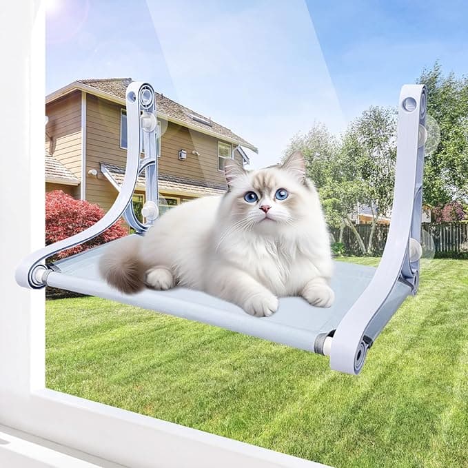 Cat Window Perch for Large Cats, Window Seat/Beds/Hammock for Indoor Cats Inside, 22 Inches Detachable Machine Washable Bed Cover, Spacious And Comfortable Cat Gifts for Sunbathing/Napping/Looking Out